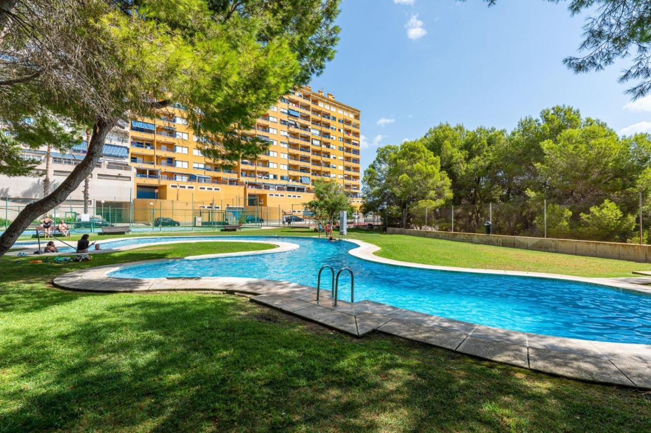 Apartament Summer Daire Campoamor Dış mekan fotoğraf