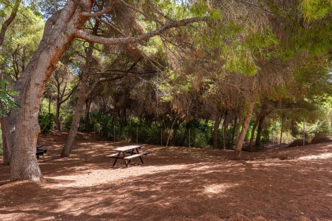 Apartament Summer Daire Campoamor Dış mekan fotoğraf